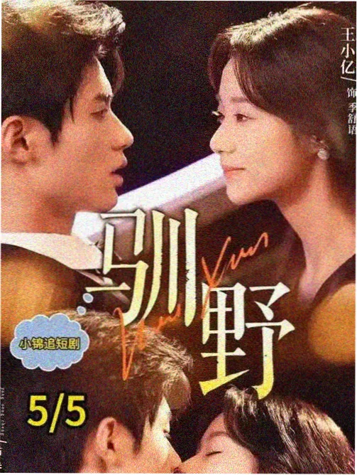 使徒行者3 卧底警匪港剧
